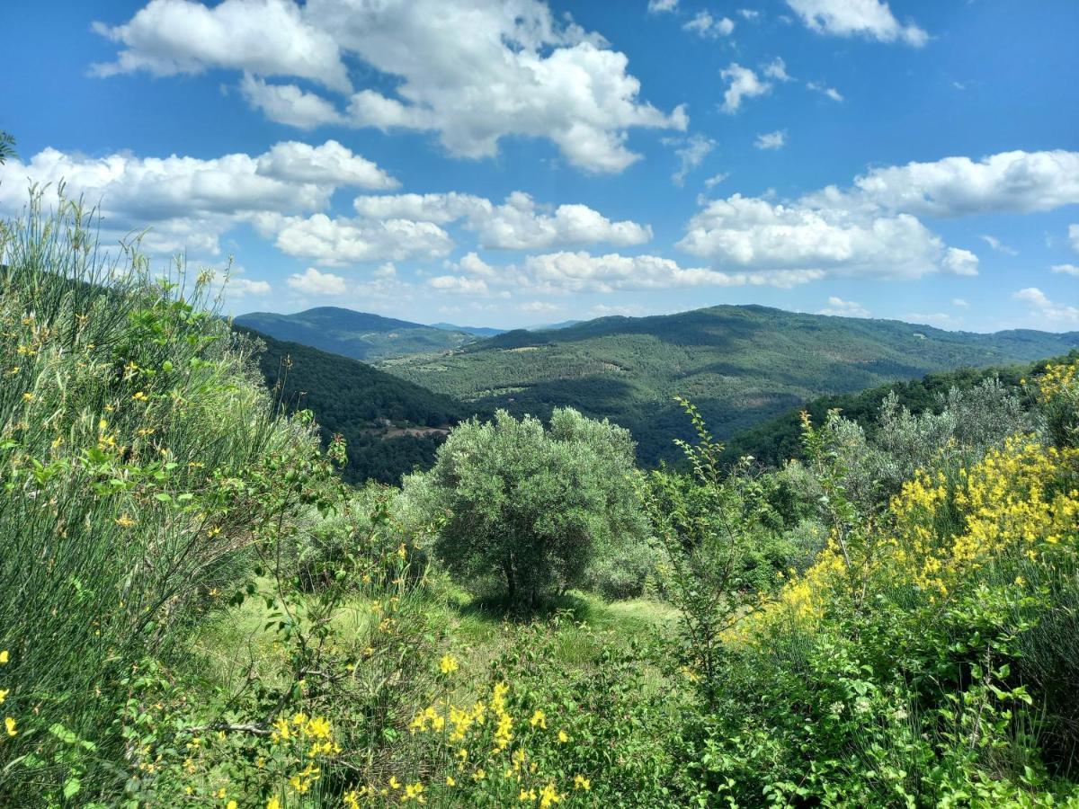 Valle Dame Cortona Eksteriør billede