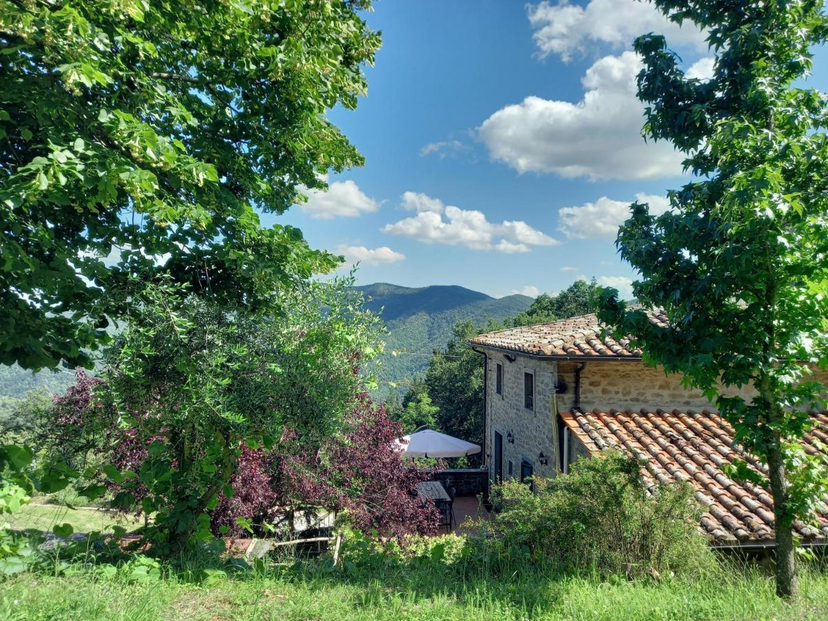 Valle Dame Cortona Eksteriør billede