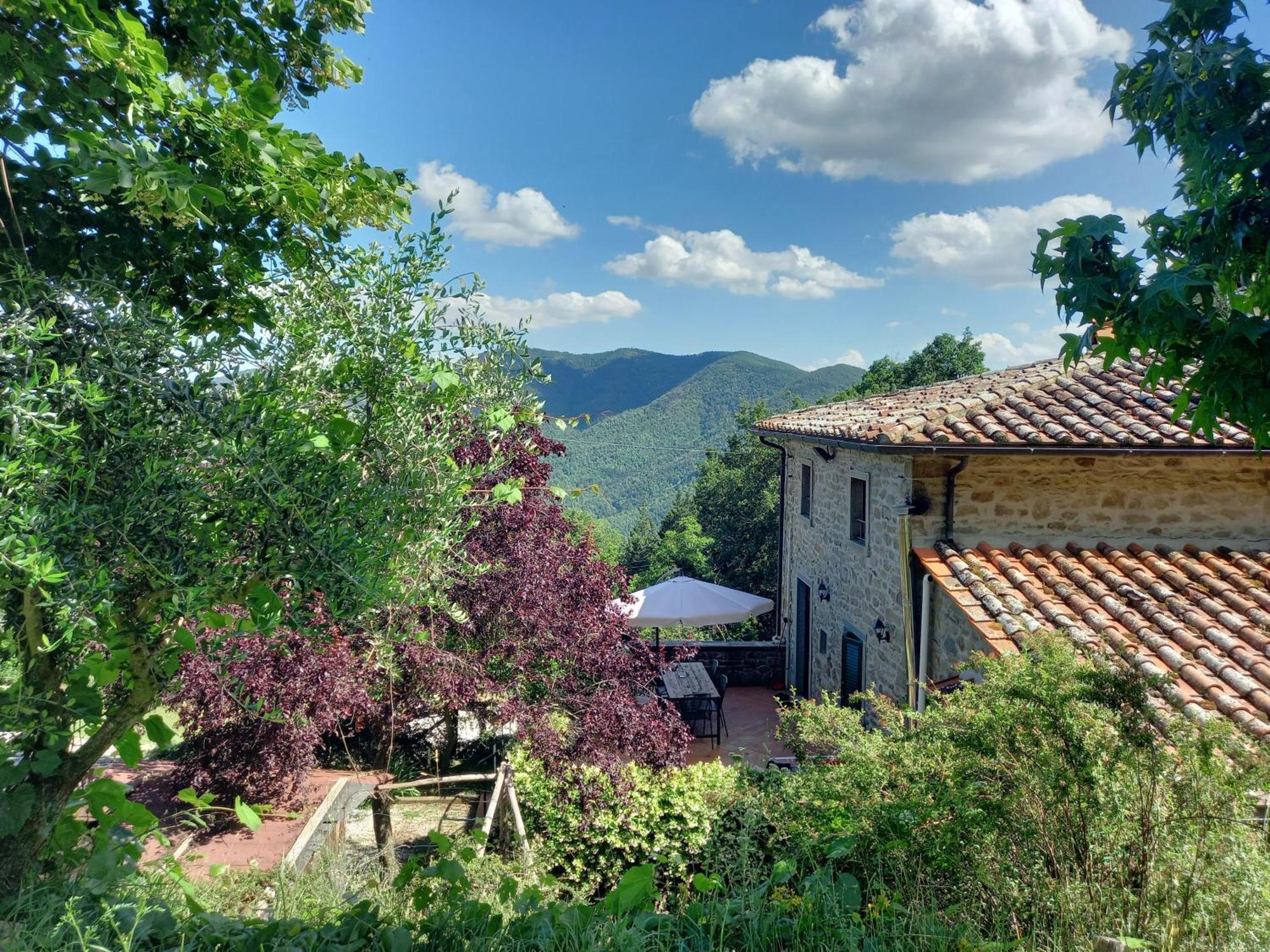 Valle Dame Cortona Eksteriør billede