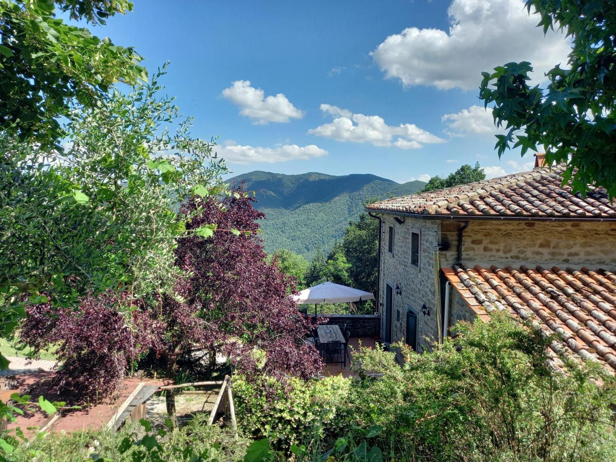 Valle Dame Cortona Eksteriør billede