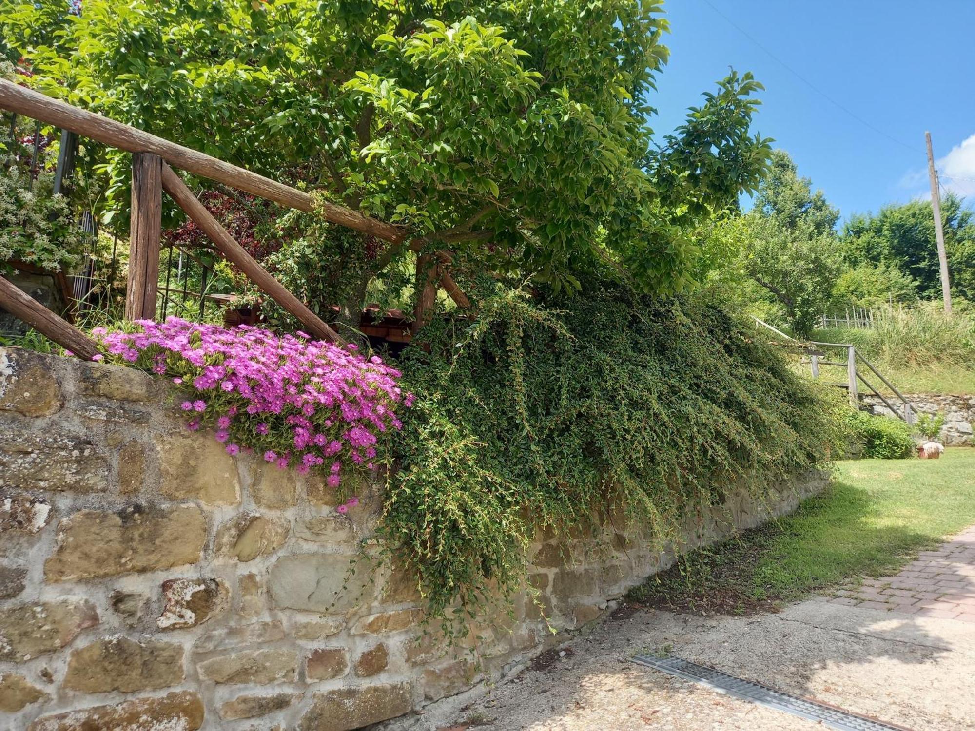 Valle Dame Cortona Eksteriør billede