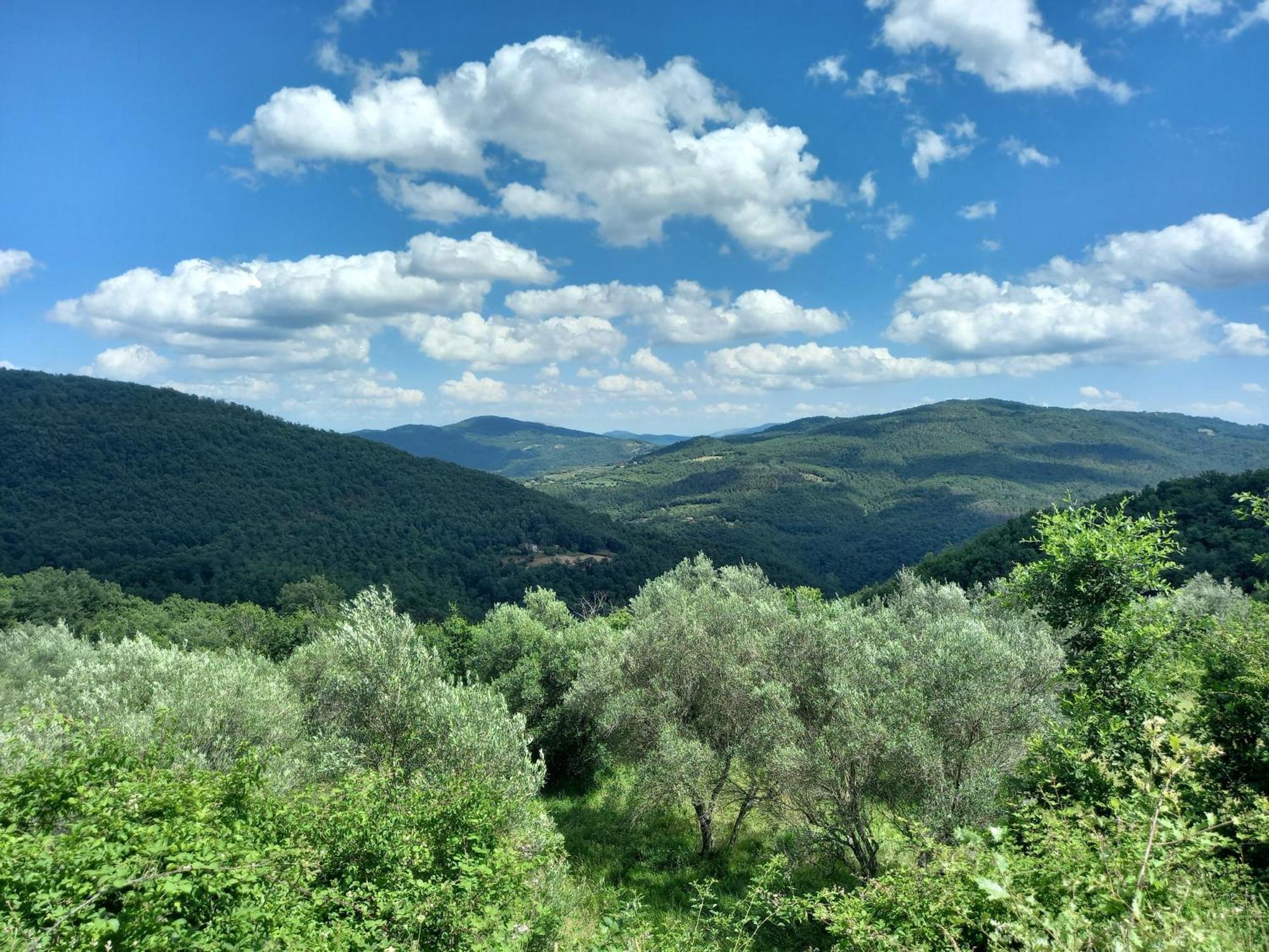 Valle Dame Cortona Eksteriør billede