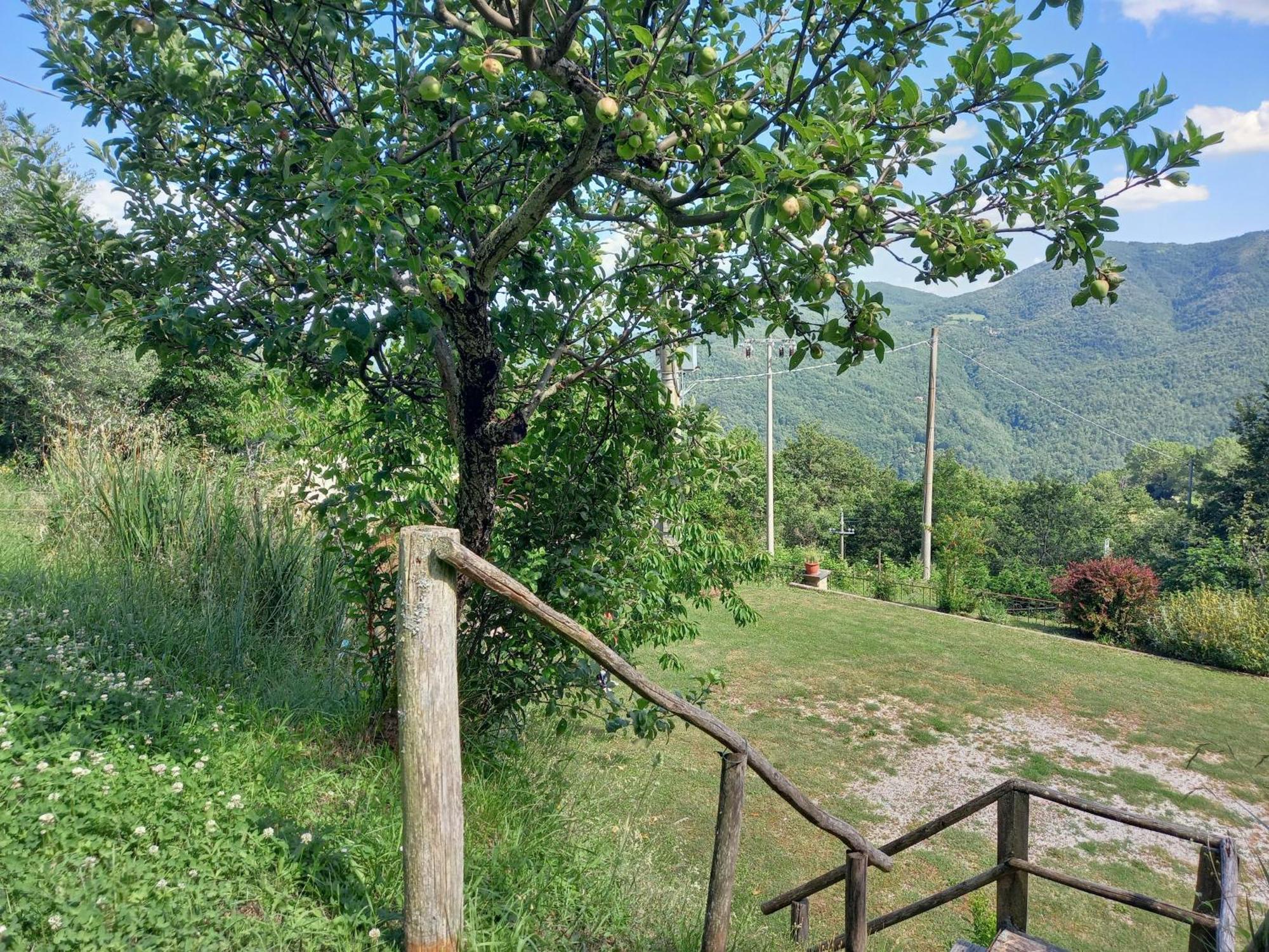 Valle Dame Cortona Eksteriør billede